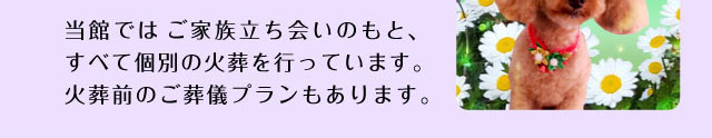 当館ではご家族立ち会いのもと、すべて個別の火葬を行っています。火葬前のご葬儀プランもあります。