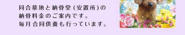集合墓地と納骨堂(安置所)の納骨料金のご案内です。毎月合同供養も行っています。