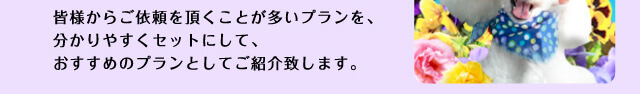 皆様からご依頼を頂くことが多いプランを、分かりやすくセットにして、おすすめのプランとしてご紹介致します。