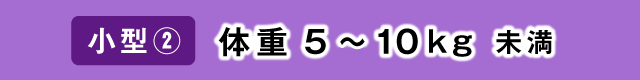 小型②：体重5～10kg未満