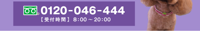 フリーダイヤル：0120-046-444／受付時間：8:00～20:00